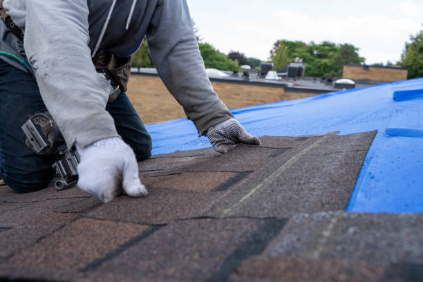 Best Local Roofing Companies  in Scissors, TX