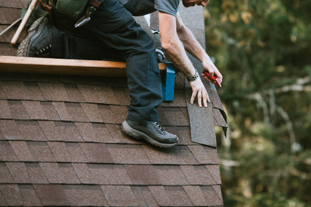 Best Roof Maintenance Services  in Scissors, TX